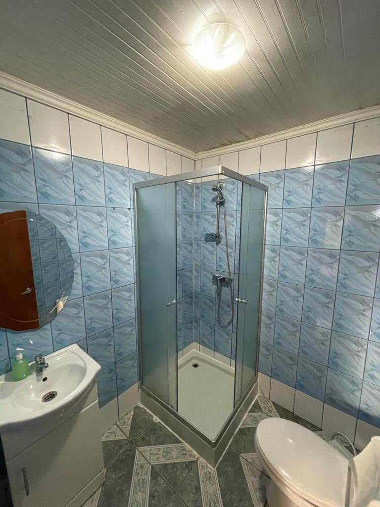 Cabanas Los Olmos San José de Maipo Екстериор снимка